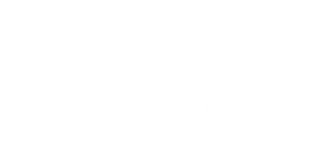 Audit SEMIpro